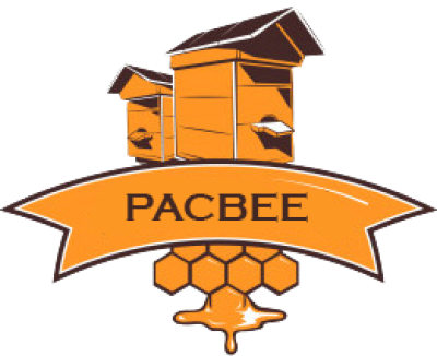 logo9